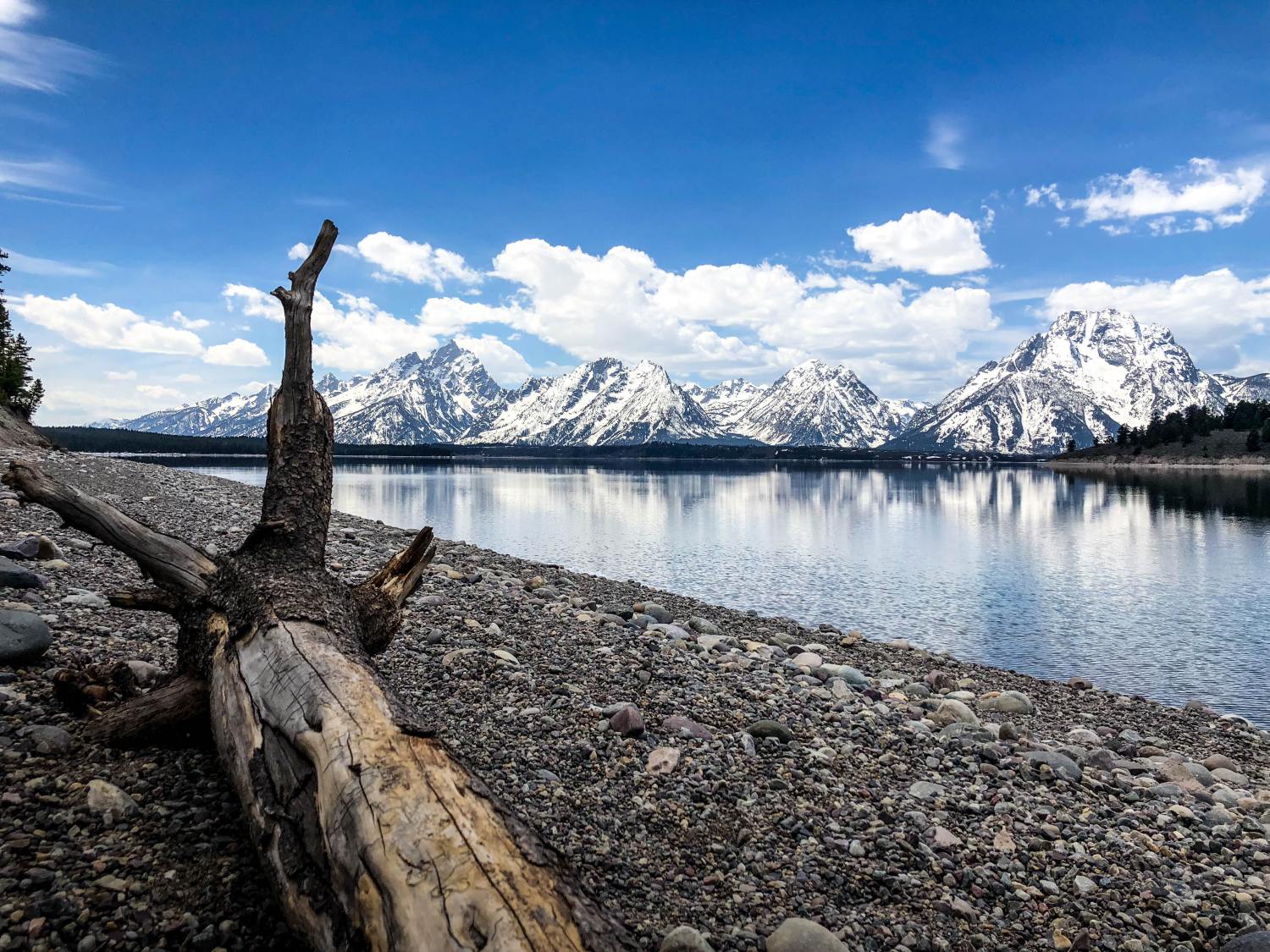 Featured image for Next Generation Teton County GIS